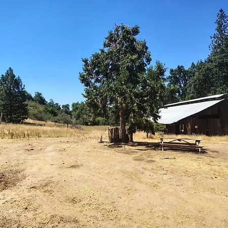 Obrien'S Rv Pad Hotel